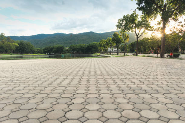 Best Affordable Driveway Pavers  in San Felipe Pueblo, NM