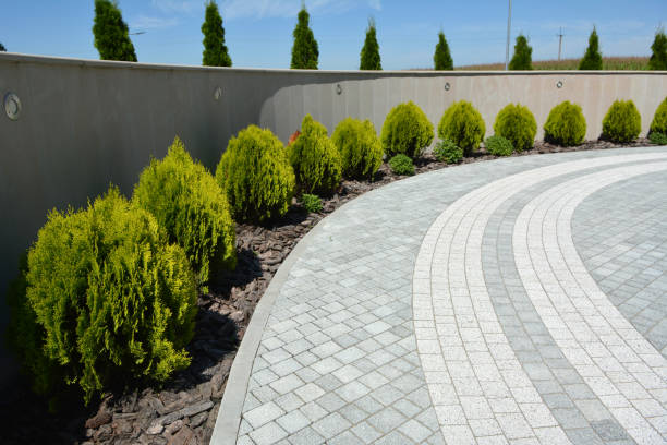 Best Driveway Repair Near Me  in San Felipe Pueblo, NM